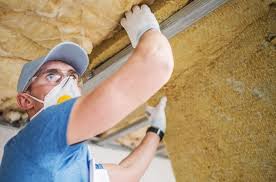 Best Blown-In Insulation  in Odem, TX